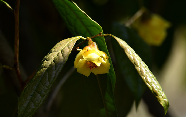 D5003_031281