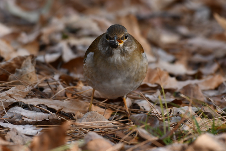 D5003_011449
