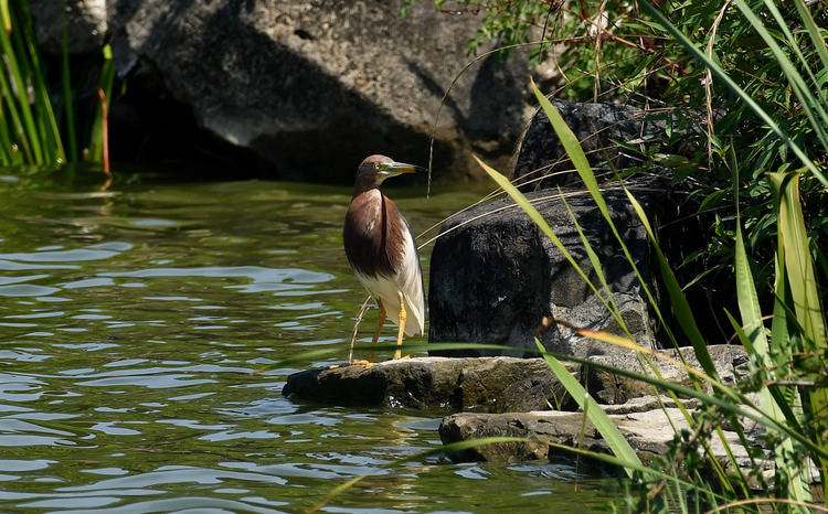 D5003_077658