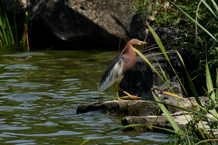 D5003_077660