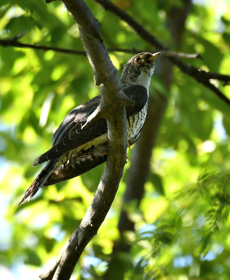 D5003_112422