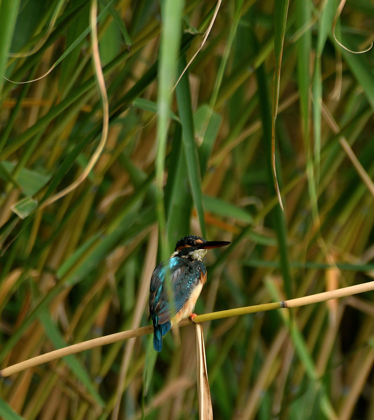 D5003_083706