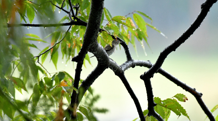 D5003_112759