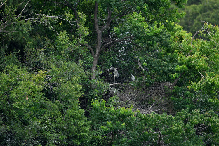 D5003_083228_00