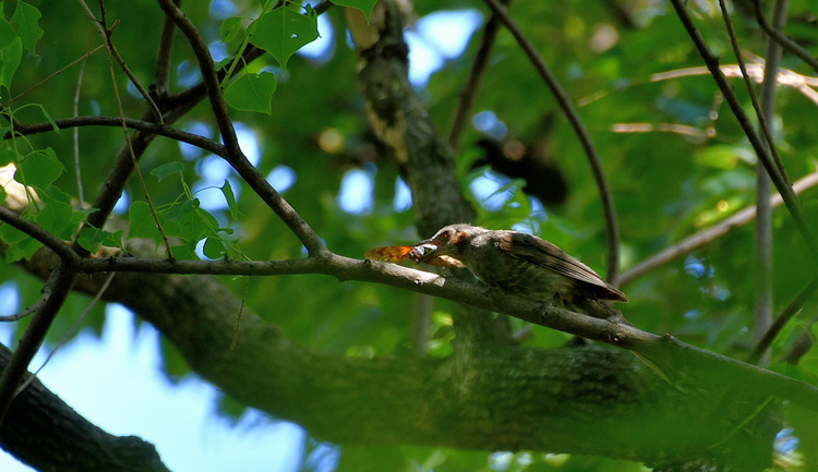 D5003_079357