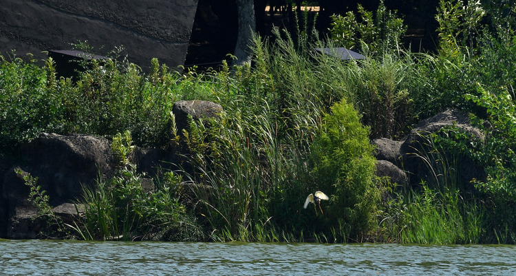 D5003_077685