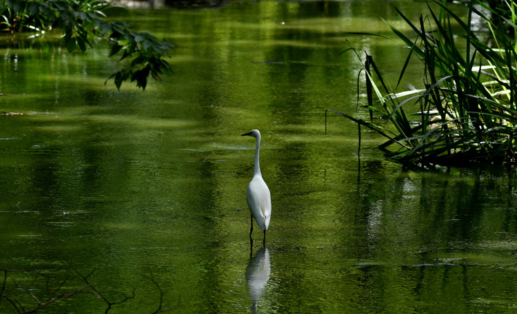 D5003_081268
