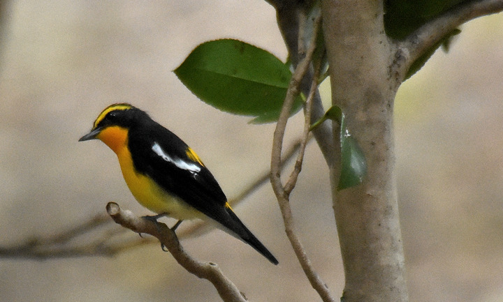 D7.2K3_082919