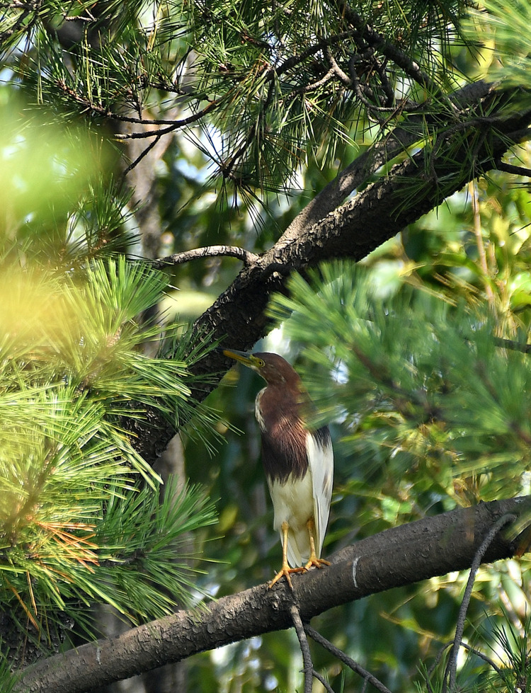 D5003_078046
