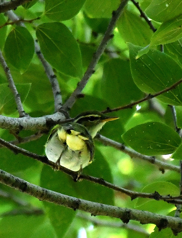 D5003_076867