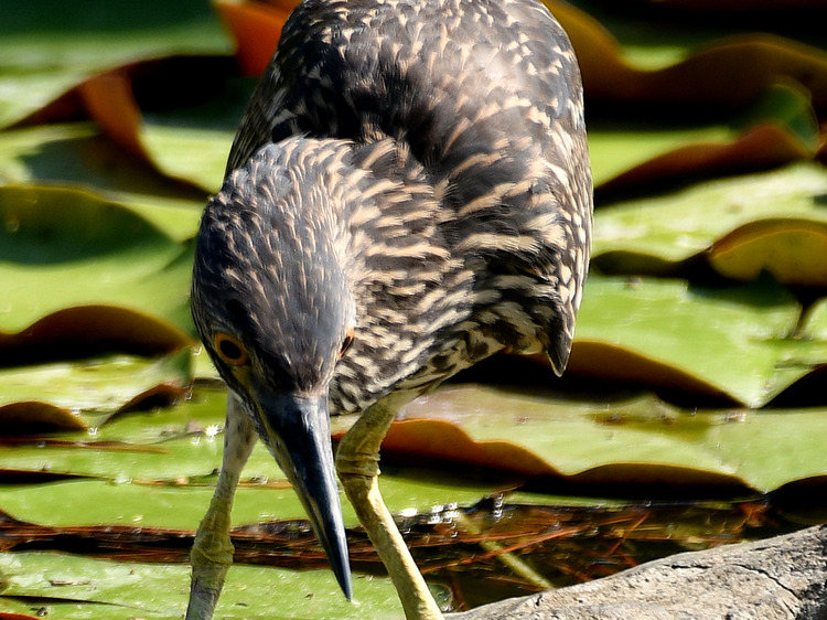 D5003_078057
