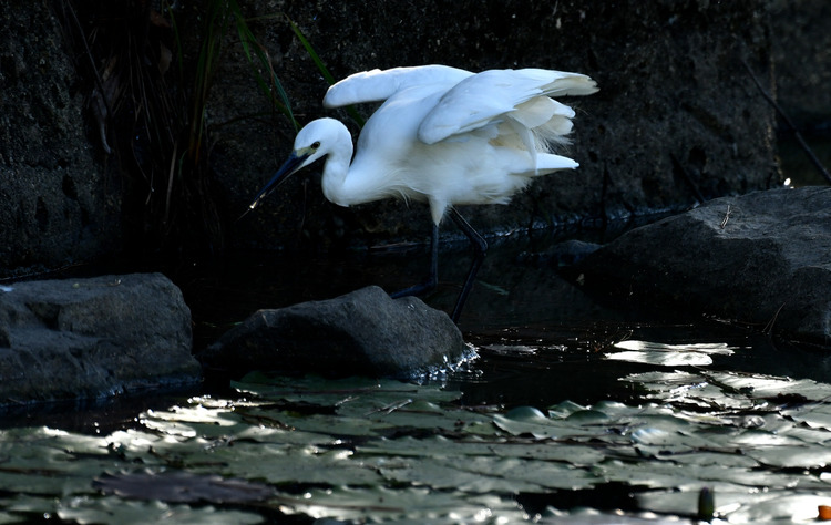 D5003_085943