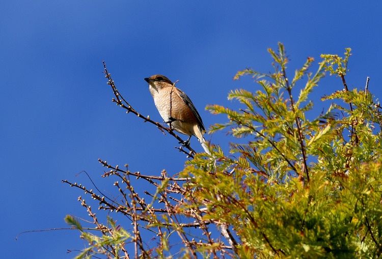 D5003_115244