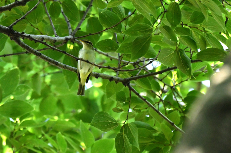 D5003_076879