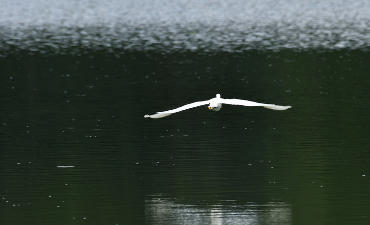 D5003_083246