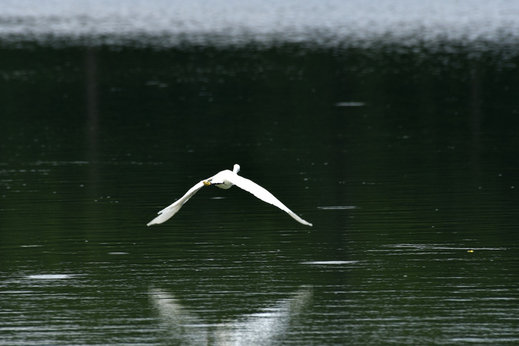 D5003_083238