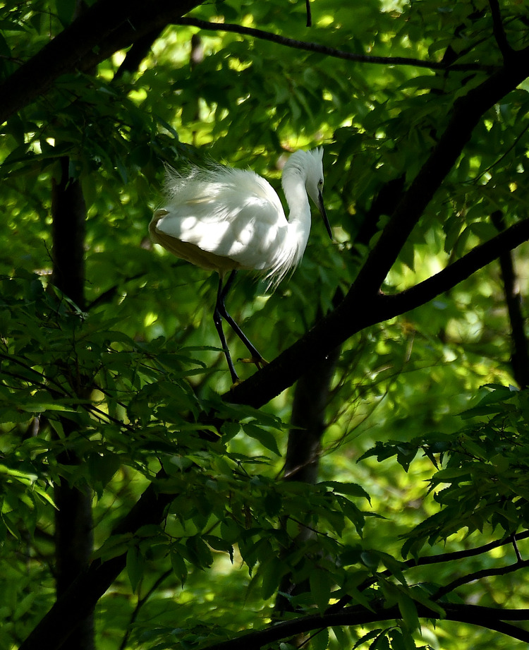 D5003_076969