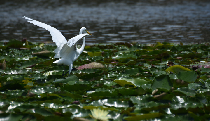 D7.2K3_068807