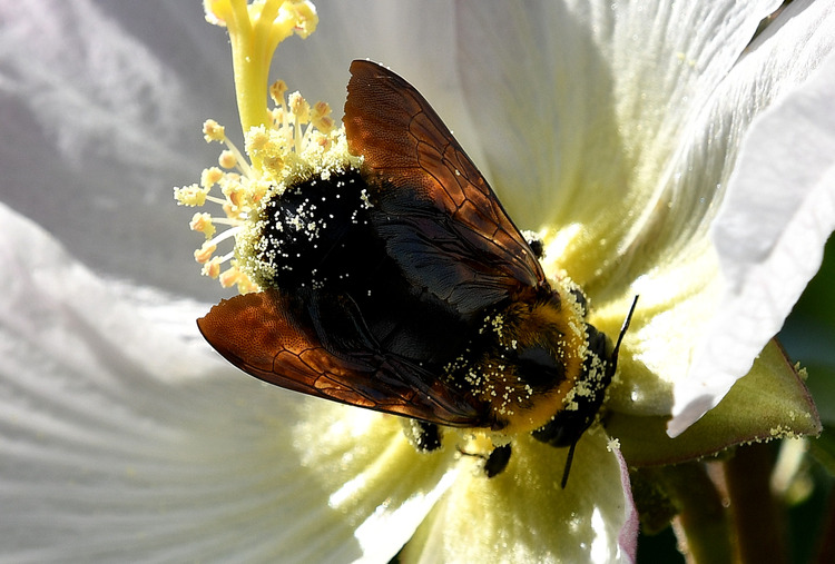 D5003_110828