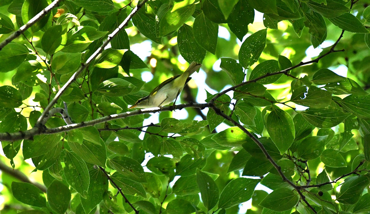 D5003_076938