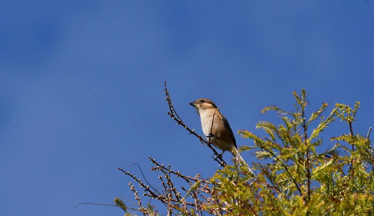 D5003_115251