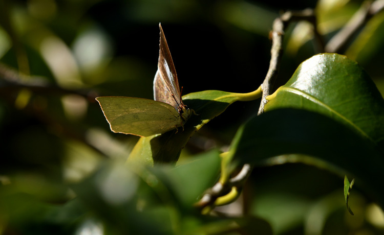 D5003_118550