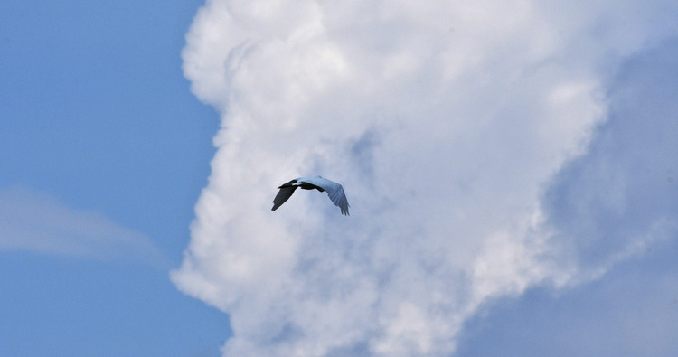 D5003_075521a
