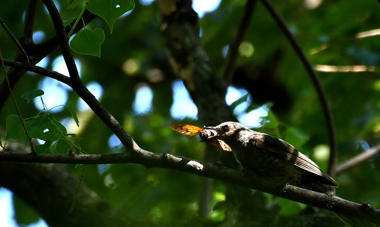 D5003_079359