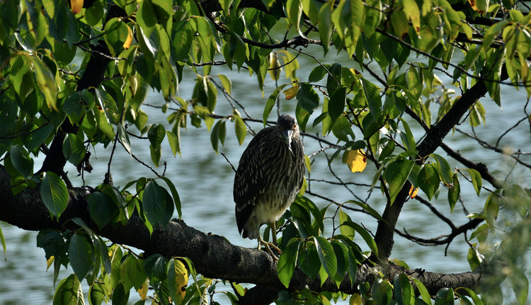 D5003_085221