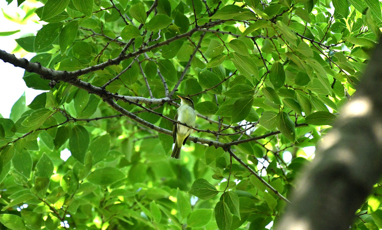 D5003_076889