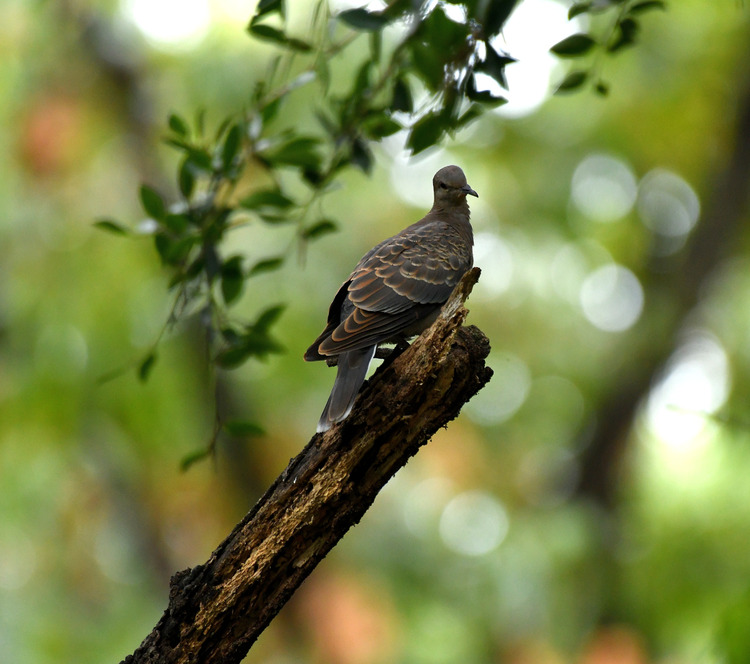 D5003_085646