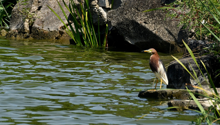 D5003_077642