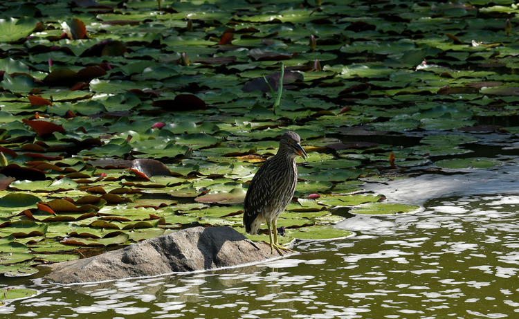 D5003_077996
