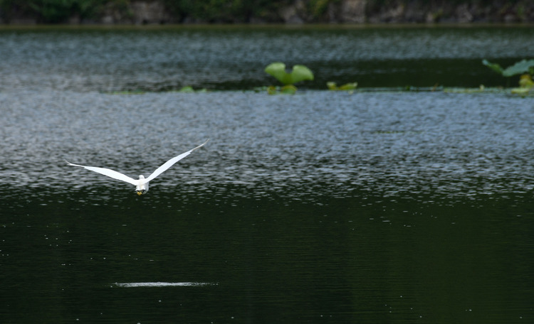 D5003_083251