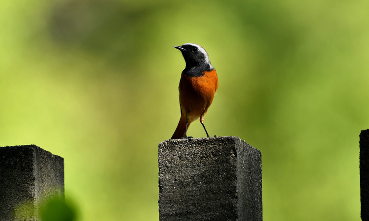 D5003_113956_00