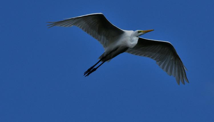 D5003_075567a