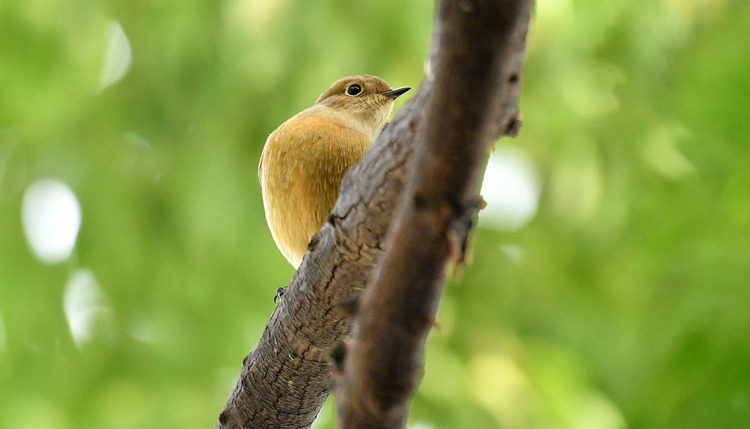 D5003_120053