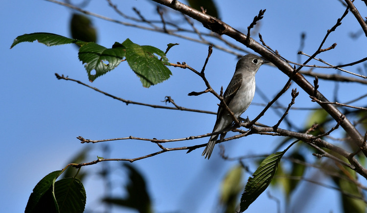 D5003_109908