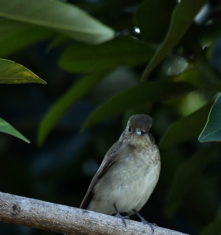 D5003_115027