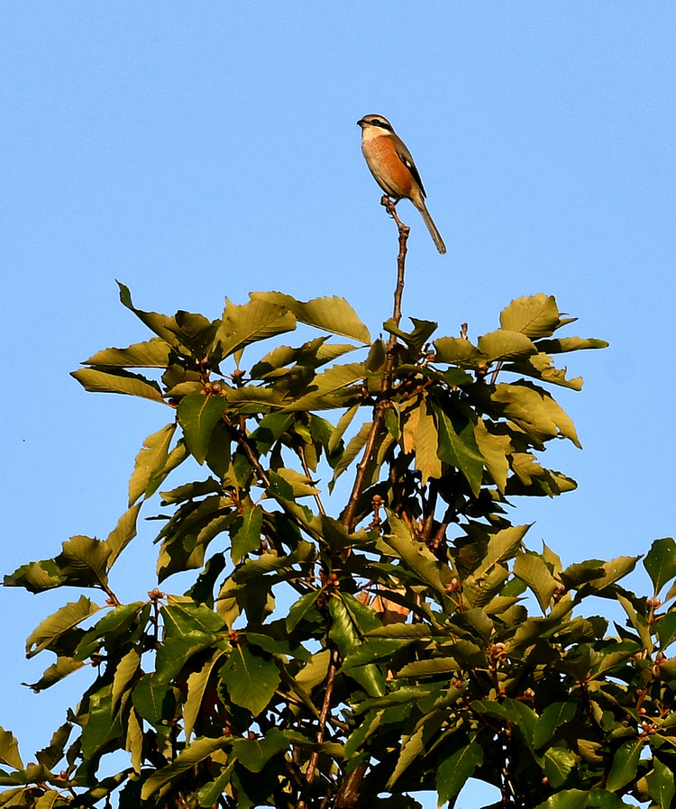 D5003_116877