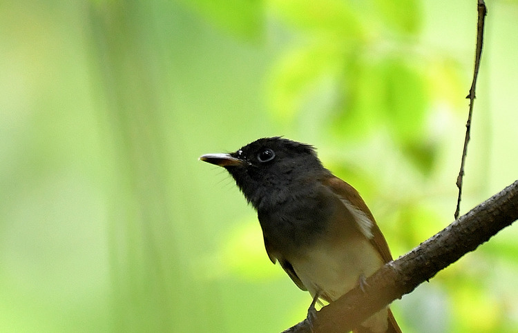 D5003_080449