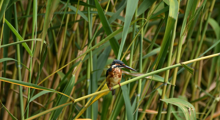 D5003_083770