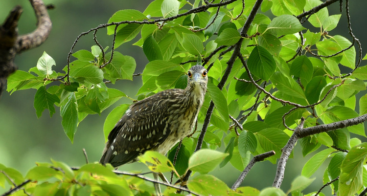 D5003_080812