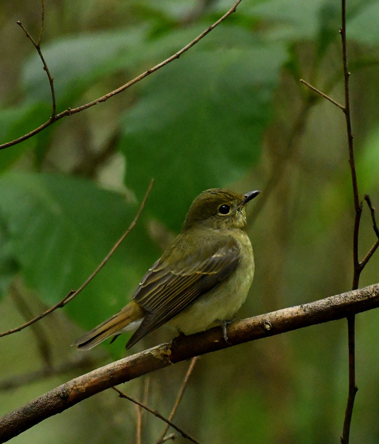D5003_107576