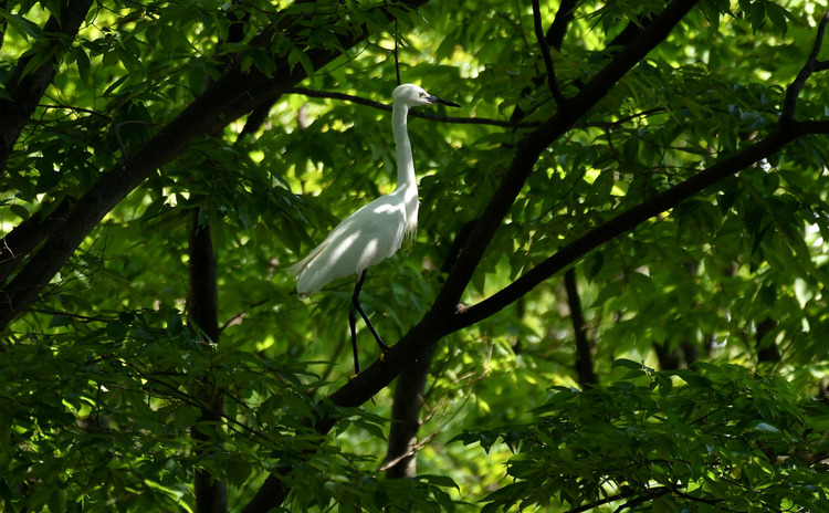 D5003_076965