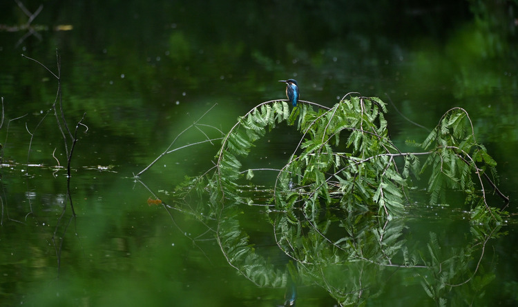 Z6ii1_105122
