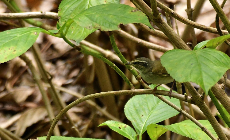 D5003_082947