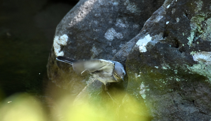 D7.2K3_080906