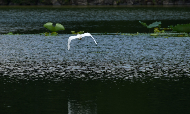 D5003_083259