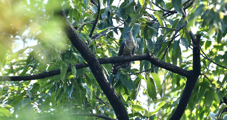 D5003_077963